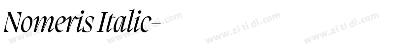 Nomeris Italic字体转换 Nomeris Italic字体转换